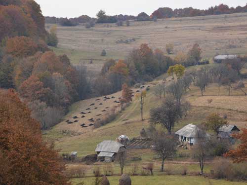 Foto In margine estica a Inaului (c) Petru Goja